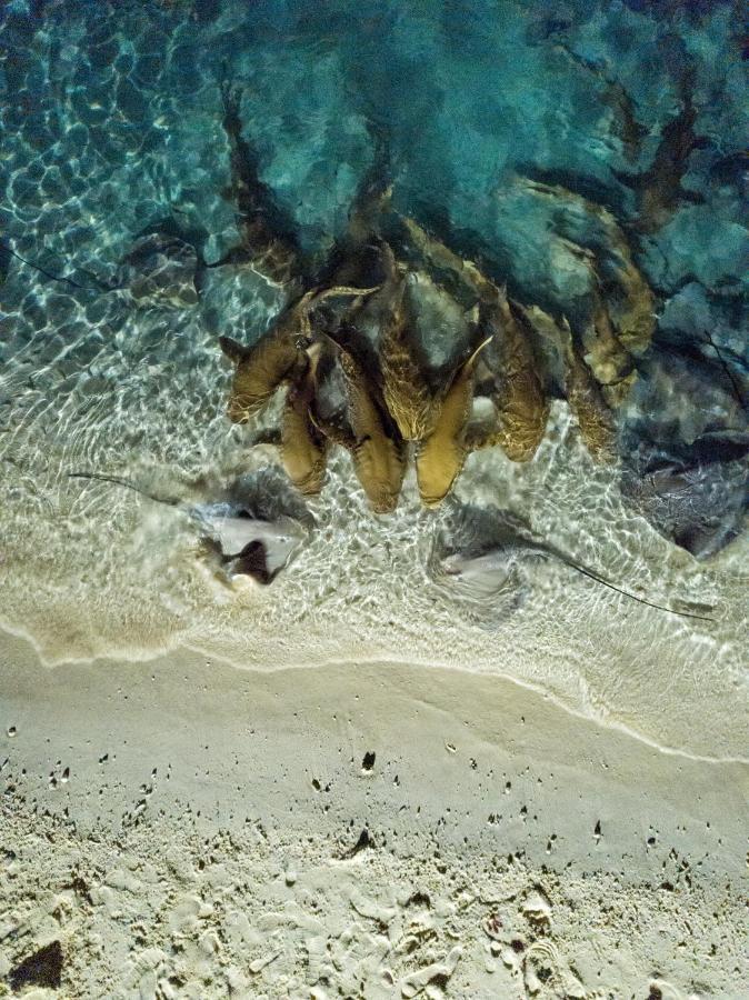 Fulidhoo White Guest house MALDIVES